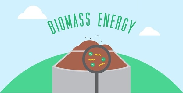 Biomass Energy