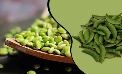 Karnataka’s Aromatic Bean