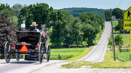 Quakers and Amish