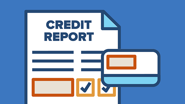 Credit Report