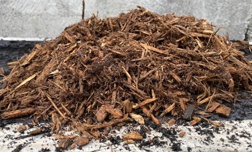 Cedar Mulch: Pros and Cons for Your Garden and Landscape