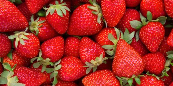 10 Fun Facts About Strawberries That Will Surprise You