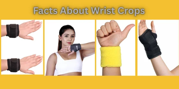 10 Facts About Wrist Crops: Style, Symbolism, and Culture