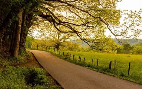 Top Travel Tips and Tricks for a Fun and Stress-Free Family Vacation to Gatlinburg