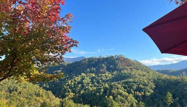 How to Make Memories in Gatlinburg Without a Packed Itinerary