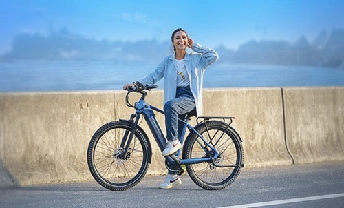 City Electric Bike with Hydraulic Brakes – Mokwheel Tarmac