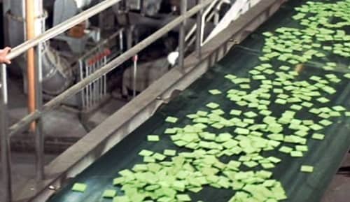 Is Soylent Green Real?
